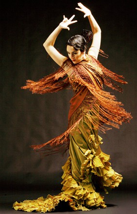 Photo:  Flamenco 14